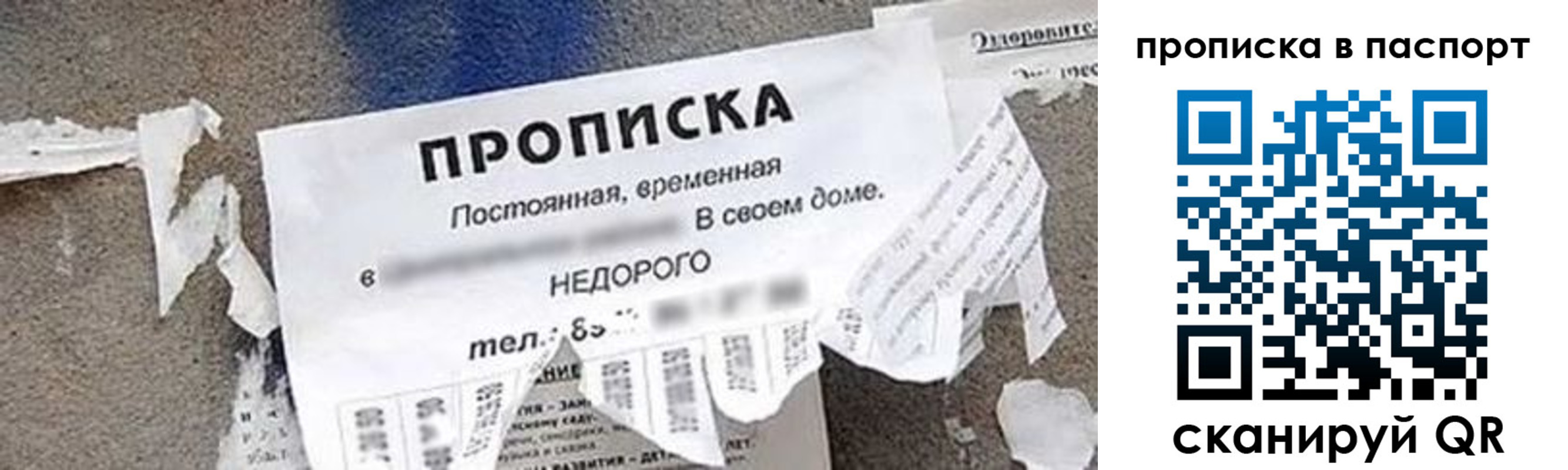 где прописаться в Кореновске